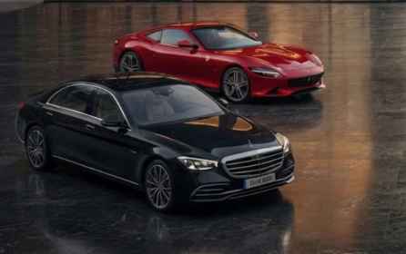 Exotic/Luxury Vehicles